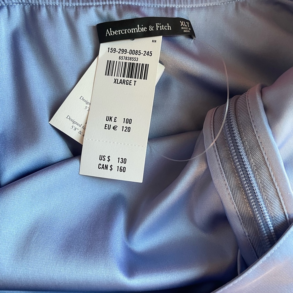 Abercrombie light blue satin floor length backless dress in XL tall
